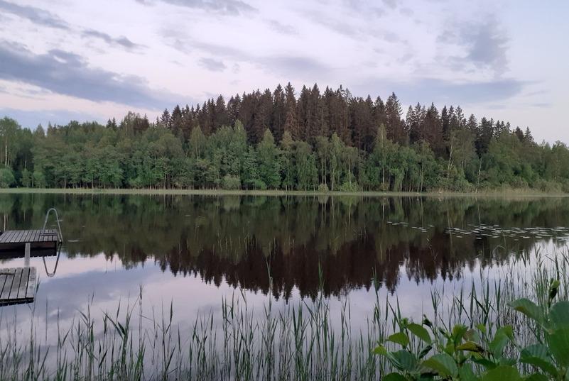 lake in summer